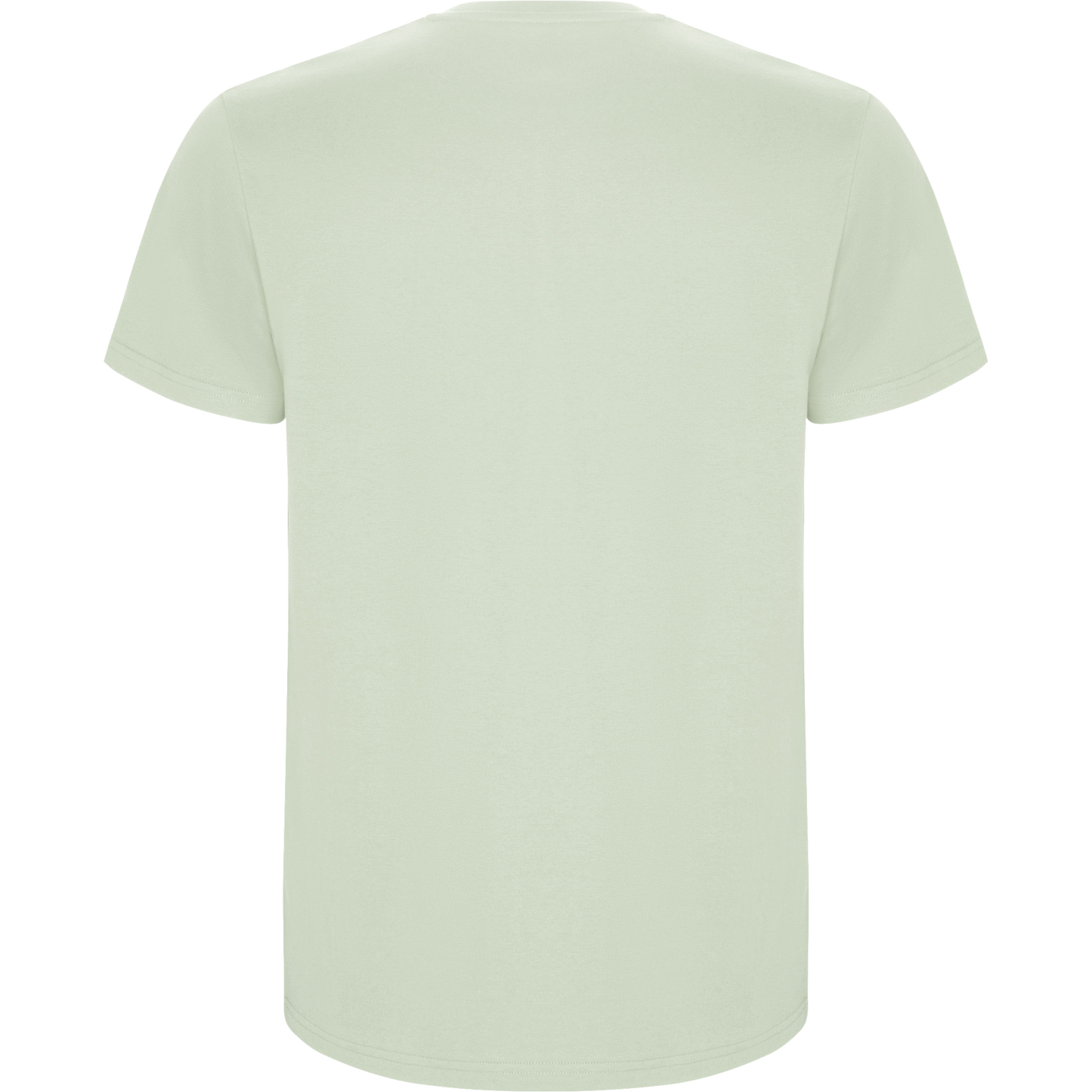 Essential Classic shirt - Mint Green - Gentleman