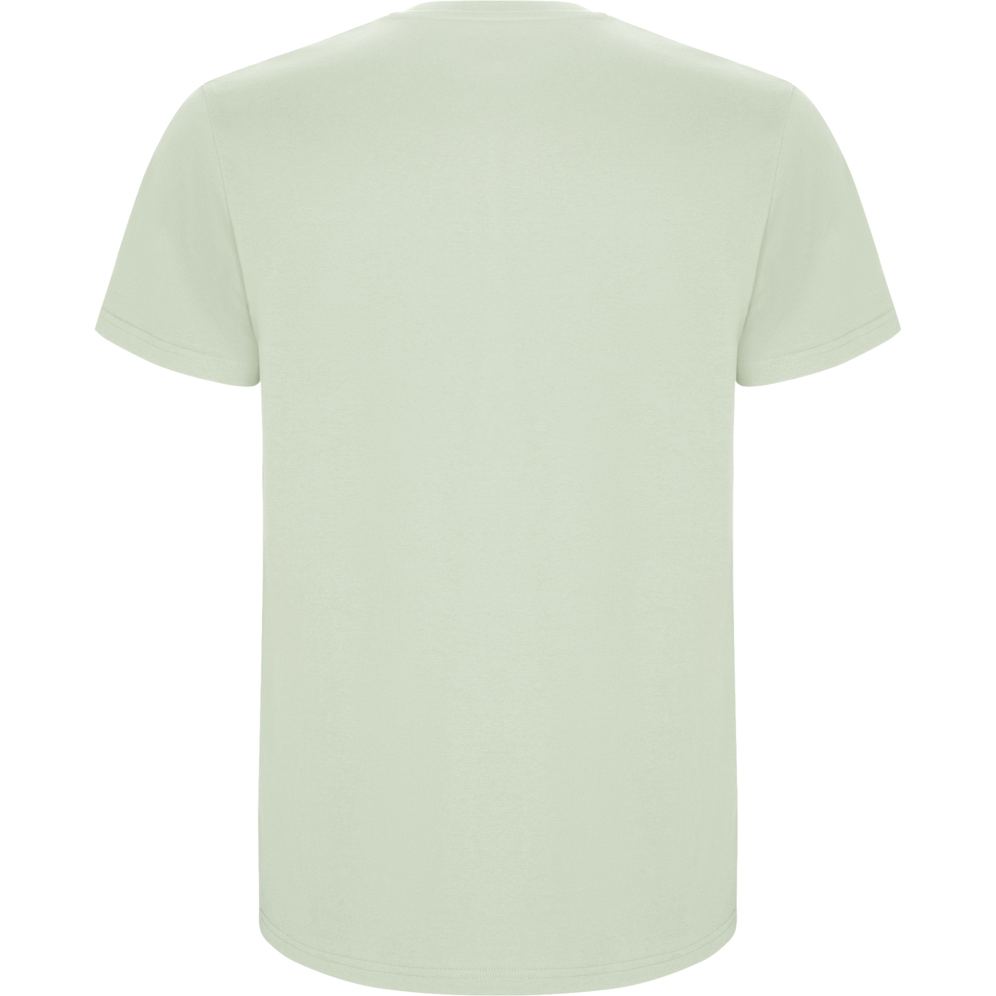 Camiseta Clásica Esencial - Verde Menta - Caballero